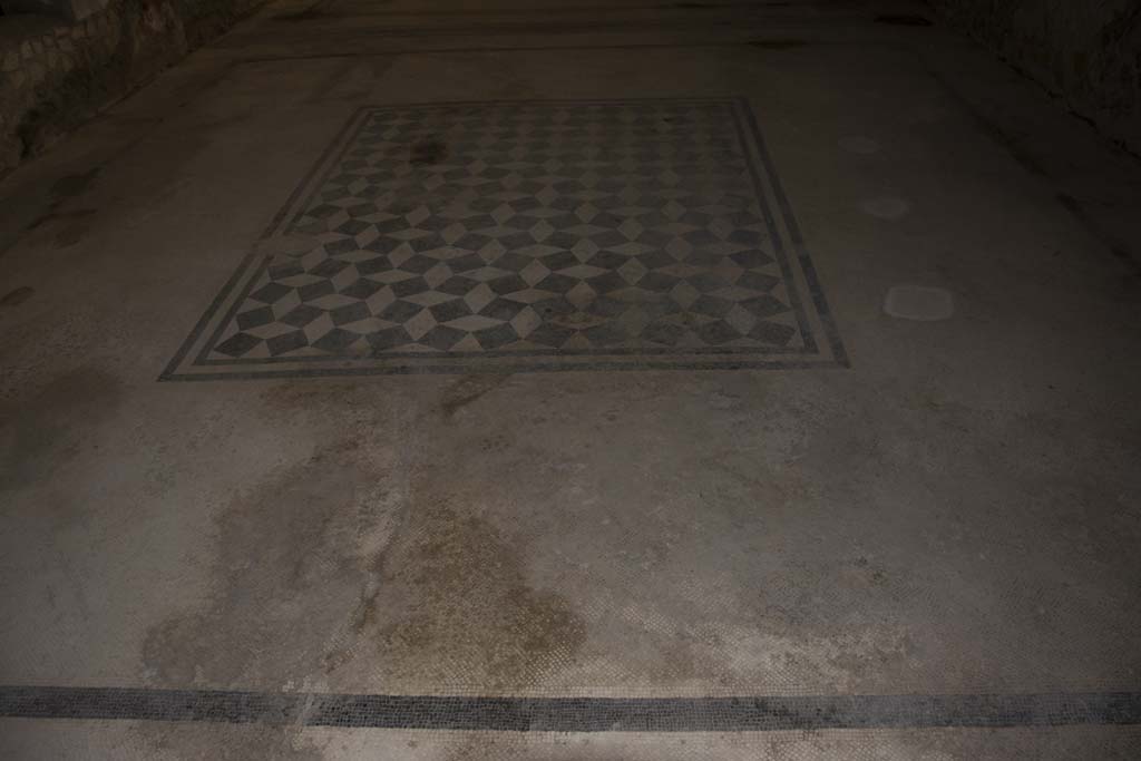 Villa dei Papiri, March 2019. Room l (L), detail of mosaic in triclinium.
Foto Annette Haug, ERC Grant 681269 DÉCOR.